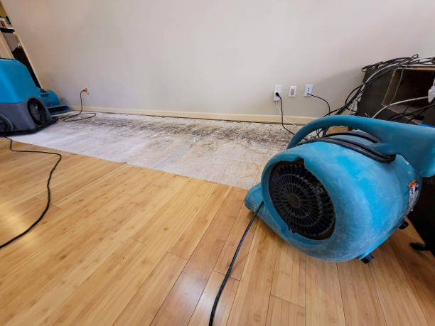 Professional Flood Damage Cleanup technician working in Strafford, MO